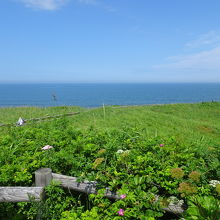 天覧ヶ丘展望台からの眺め・・・