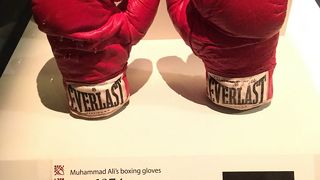 英語が分からなくても楽しめる