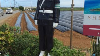 宮古島の交通安全を見守る人形