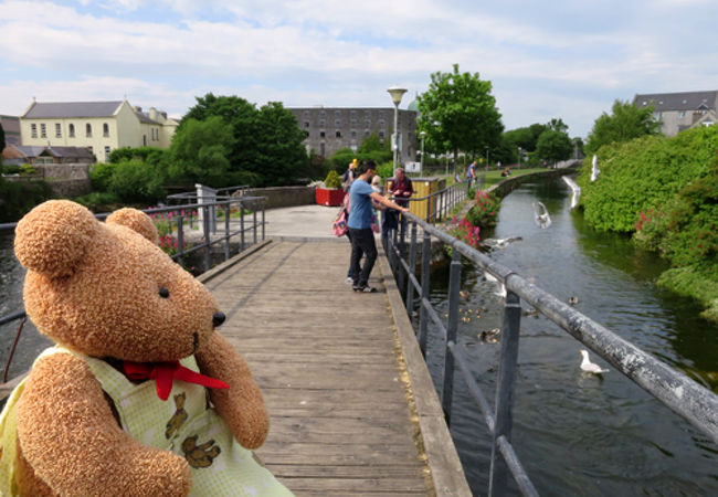 遊歩道の芝生でのんびり