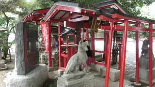 女性に人気、その訳は