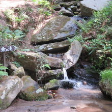 極楽寺コースには小さな滝があります