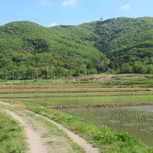 田園風景を眺めながら歩きました