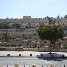 万国民の教会前から見た風景