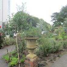 公園内のイングリッシュガーデン