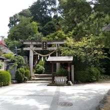 鳥居を遠方から