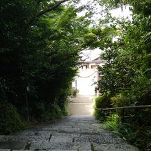 階段を上から見た風景