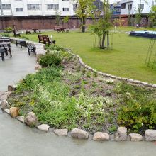 倉庫の前はちょっとしたガーデン風です