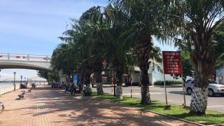 遊歩道が広くて散歩するのにいいです！