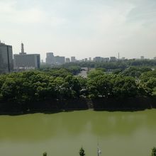 この景色を見ながら給茶機で飲み物が飲める。