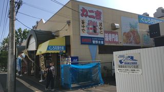 丹頂市場