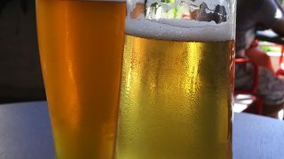 マウイ ブリューイング カンパニー