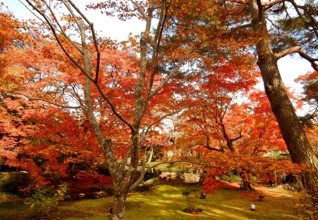 紅葉の宝厳院