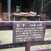 ユニーク(笑)変装グッズあります