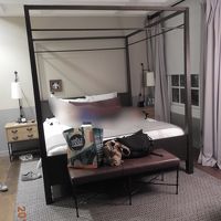 天蓋付きベッド