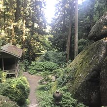 神社からの眺め