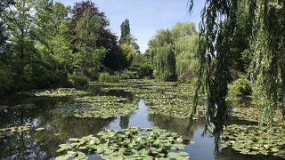 事前予約もあるようです