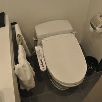 便座はシャワートイレだった