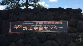 大人も子供も楽しめる