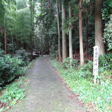 山の中を１０分ほど歩きます