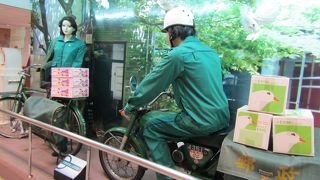 子供も楽しめます