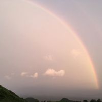 雨の後　部屋から虹がみえました