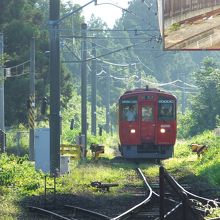 三里木駅に向かってやってくる熊本行き列車。まるで森の中。