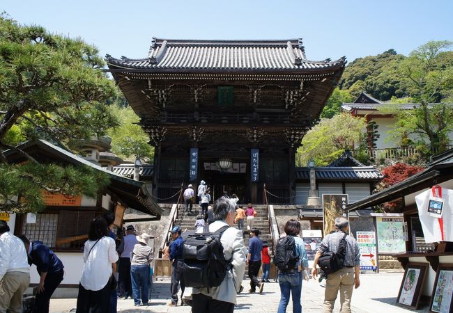 長谷寺 ぼたんまつり クチコミ アクセス 営業時間 桜井 三輪 山の辺の道 フォートラベル