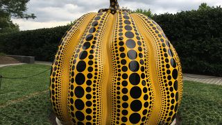 新進気鋭な展示品