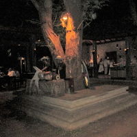 レストランのバンド