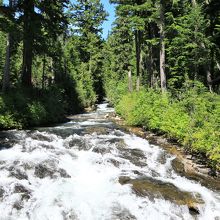 ナラダ滝に流れ込むパラダイス川
