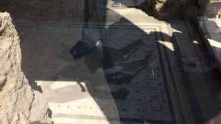 番犬のモザイクがあります