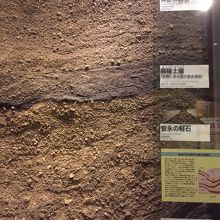 桜島ビジターセンター内