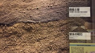 桜島について知りたければココへ