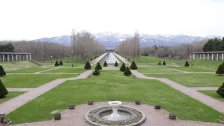 春の花が咲いていました