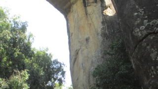 巨大なキノコが生えている様な。