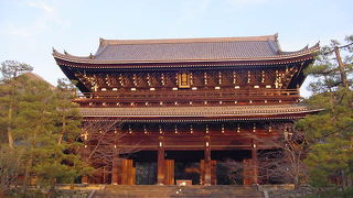 圧倒的な存在感です