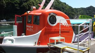 伊豆半島の成り立ちを垣間見れるクルーズ