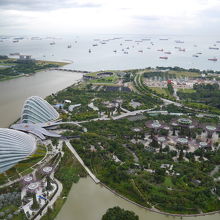 植物園も上から楽しめます