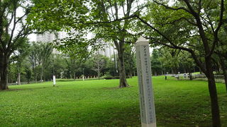 広い公園内に蝉の声が響いていた。