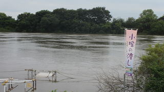 欠航になっていて残念でした