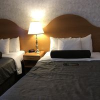 ベットは広いです