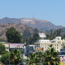 天気が良くてハリウットサインバッチリ撮れました