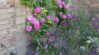 花が咲き乱れる、王の夏の別邸