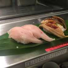 ビンチョウ、アナゴ