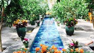 国会議事堂の近く