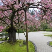 アメリカの中の日本