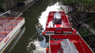 桜の時期はきれいそう