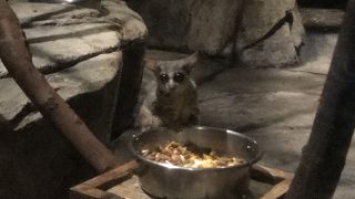 意外と楽しめる