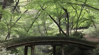 モミジの木々のなかにひっそり架かる橋